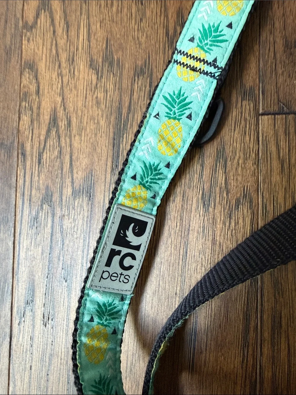 RC pets stylish aqua